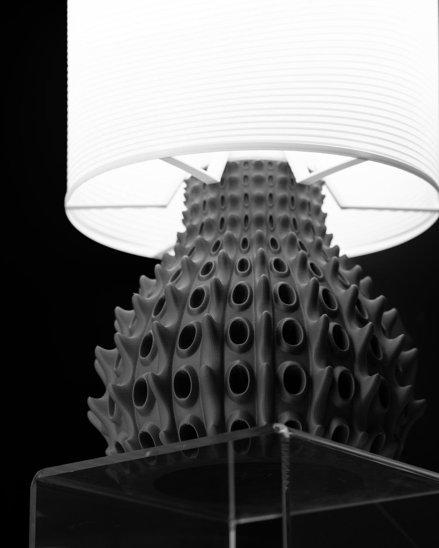 Barnacle Table Lamp