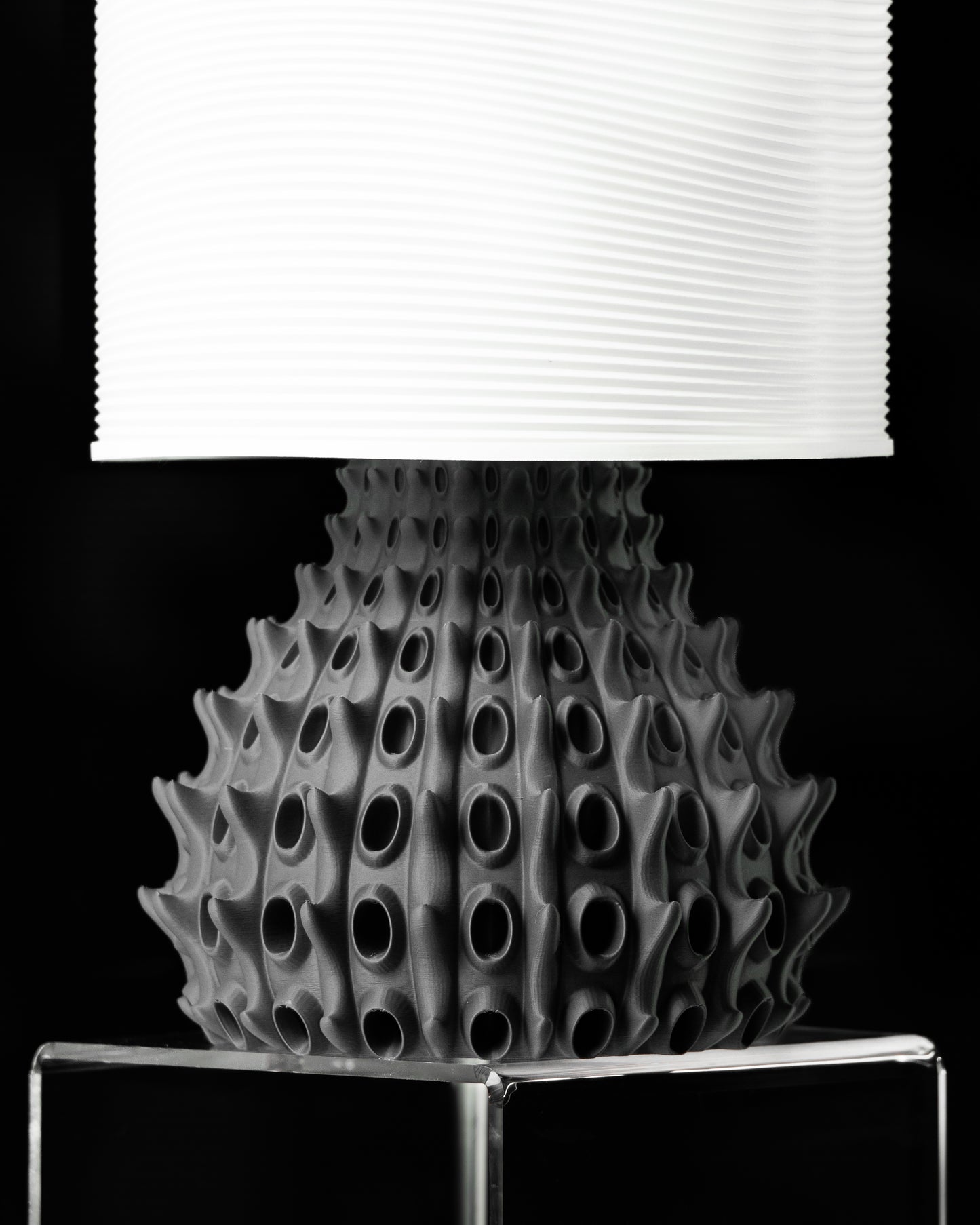 Barnacle Table Lamp