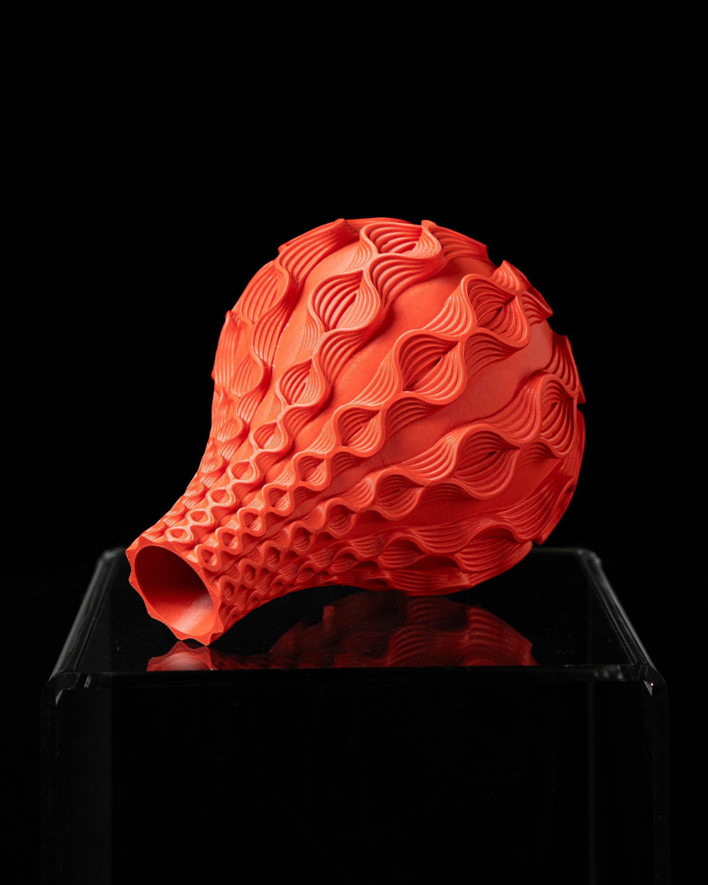 Bloom Vase