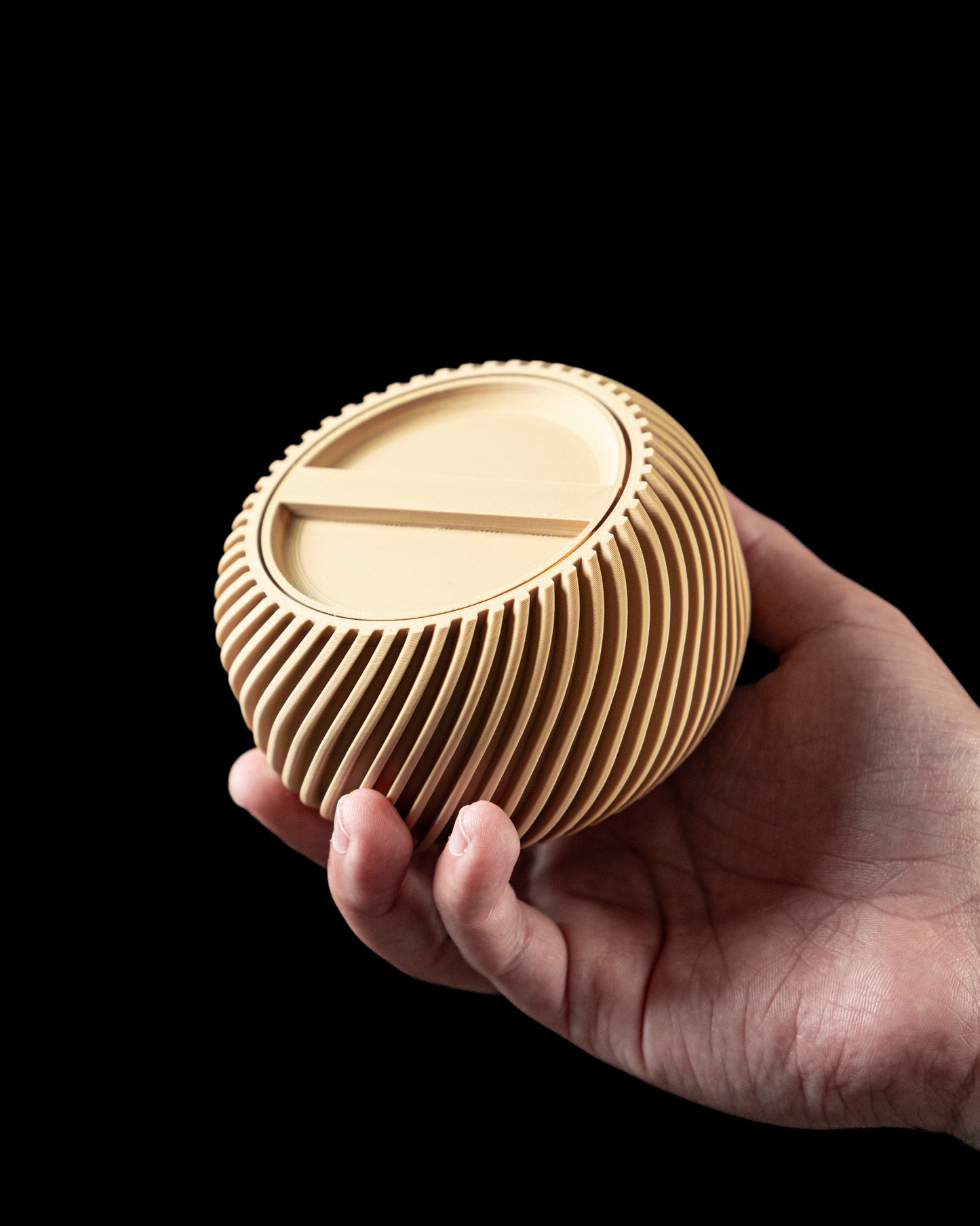 Mini Storage Container