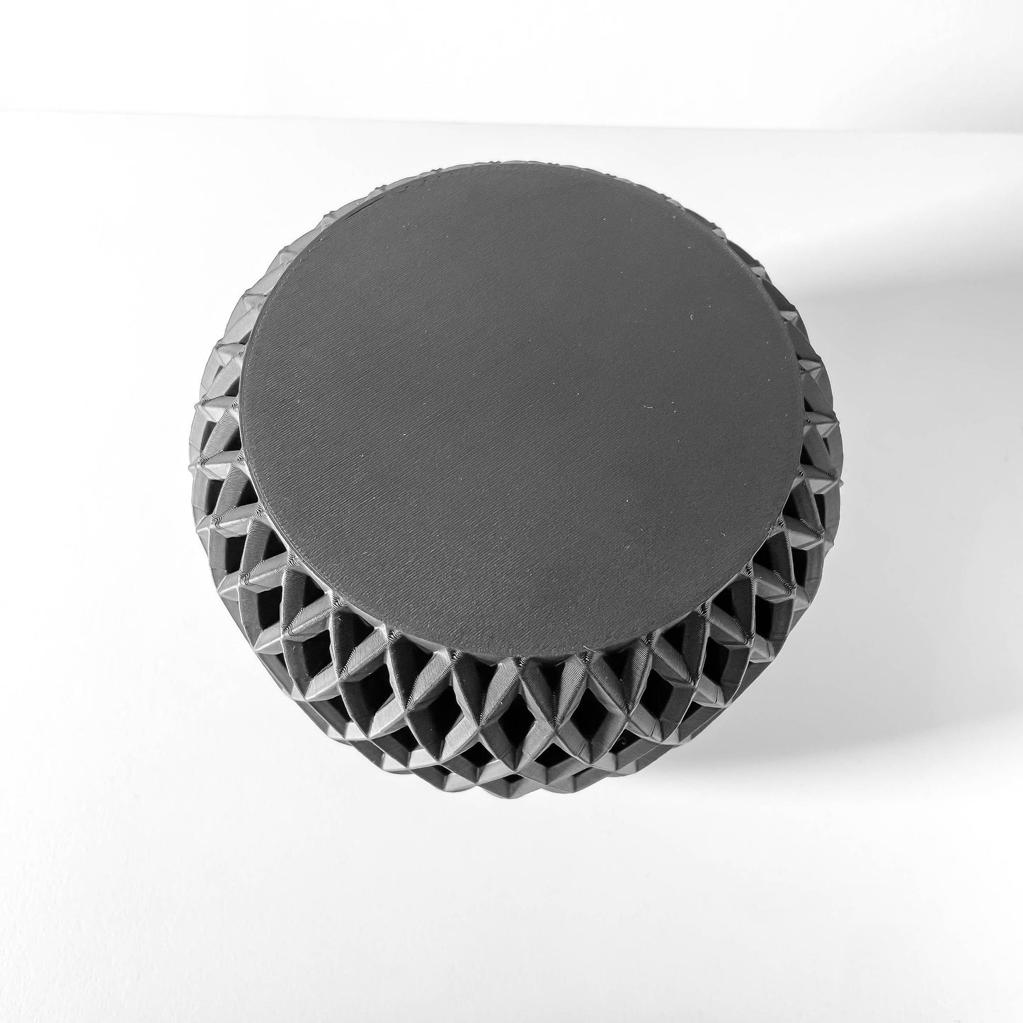 Palis Storage Container