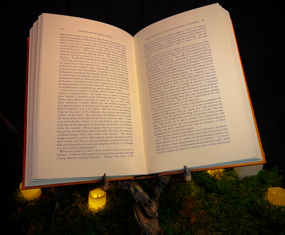 The Forbidden Book Holder